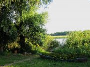 IMG_5258.JPG