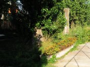IMG_5237.JPG