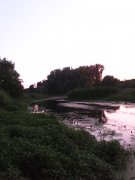 IMG_20150725_055927.jpg