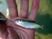 IMG_7220.jpg
