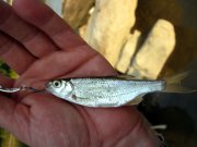 IMG_7193.jpg