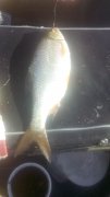 IMG_20150724_172308.jpg