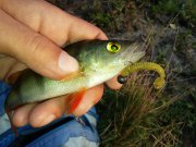 20150727_061528.jpg