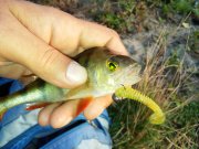 20150727_061533.jpg