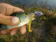 20150727_061659.jpg
