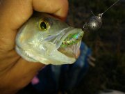 20150727_062403.jpg