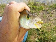 20150727_073510.jpg