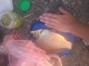 20150727_054305.jpg