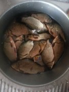 20150727_111932.jpg