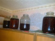 Фото4039.jpg