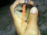 20150730_071130.jpg