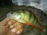 20150730_085650.jpg