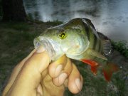 20150730_085659.jpg