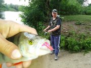 20150730_093330.jpg
