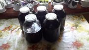20150730_143859.jpg