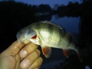 20150731_053800.jpg