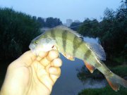 20150731_053814.jpg