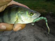 20150731_061908.jpg