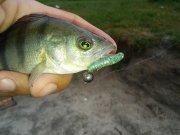 20150731_061914.jpg