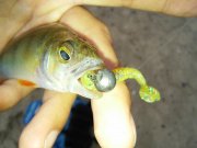 20150731_065522.jpg