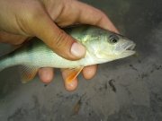 20150731_071815.jpg