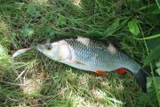 IMG_3139.JPG