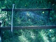 IMG0252A.jpg