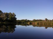 20150803_073908.jpg