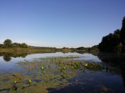 20150803_073857.jpg