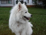 20150803_194433.jpg
