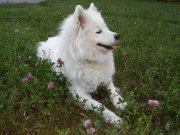 20150803_194526.jpg