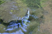 DSC_1187.jpg
