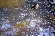 DSC_1774.jpg