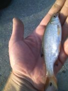 IMG_20150804_185146.jpg