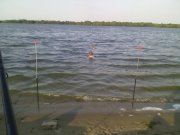 IMG_20150804_182110.jpg