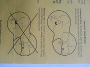 20150806_094302.jpg