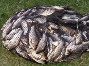 20150704_205533.jpg