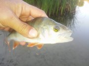 20150808_061937.jpg