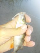 20150808_063021.jpg