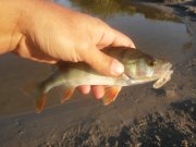 20150808_071340.jpg