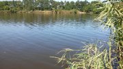20150808_142612.jpg