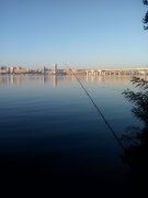 IMG_20150808_063005.jpg