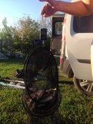 IMG_3265.JPG