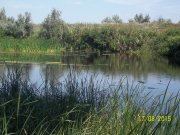 100_9219.JPG