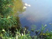 100_9223.JPG