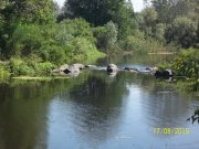 100_9225.JPG