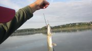 IMG_2805.jpg