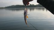IMG_2806.jpg