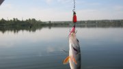 IMG_2807.jpg