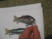 IMG_7126.JPG